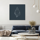 Shell by Alessandra Gagliano on GIANT ART - gray vector illustration