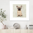 Mr French Bulldog by Roberta Jean Pharelli on GIANT ART - white digital painting