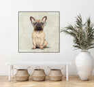 Mr French Bulldog by Roberta Jean Pharelli on GIANT ART - white digital painting