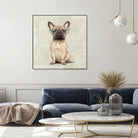 Mr French Bulldog by Roberta Jean Pharelli on GIANT ART - white digital painting