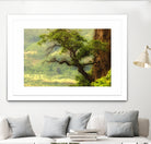 Nature mountain sunrise landscape tree by Retno Asih Mustakimah on GIANT ART - green photo manipulation