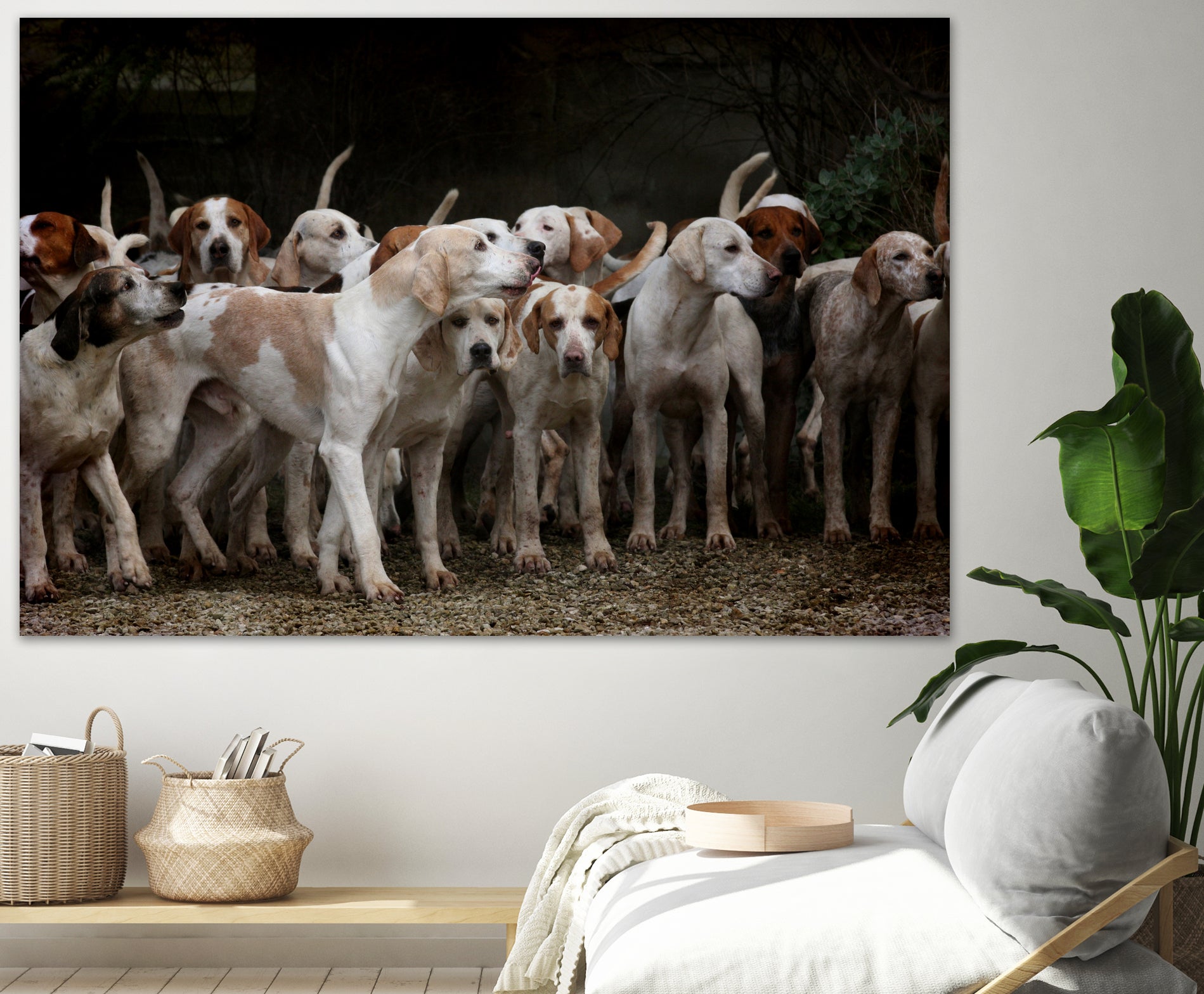 dog herd canine animal pet hounds by Retno Asih Mustakimah on GIANT ART - brown photo manipulation