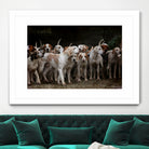 dog herd canine animal pet hounds by Retno Asih Mustakimah on GIANT ART - brown photo manipulation