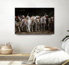 dog herd canine animal pet hounds by Retno Asih Mustakimah on GIANT ART - brown photo manipulation