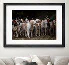 dog herd canine animal pet hounds by Retno Asih Mustakimah on GIANT ART - brown photo manipulation