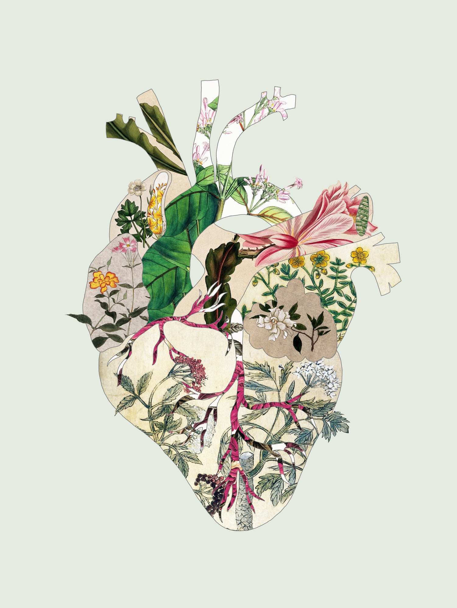 Vinatge Botanical Heart - Green by Bianca Green on GIANT ART - green digital drawing