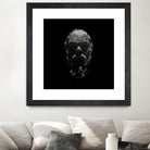 Socrates by Rinat Mirassov on GIANT ART - black 3d art