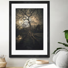 Loughtons Forest by Steven Sandner on GIANT ART - white digital drawing