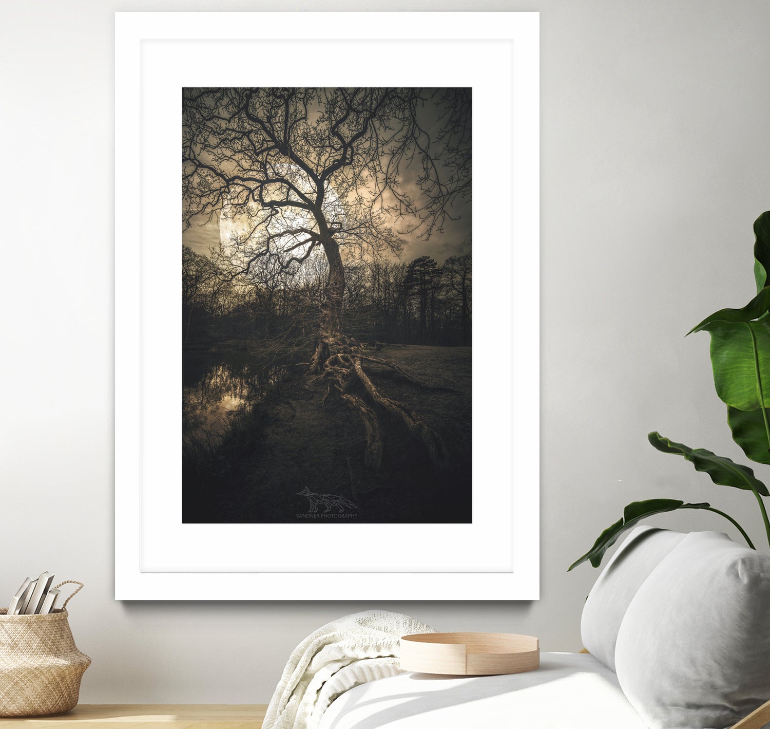 Loughtons Forest by Steven Sandner on GIANT ART - white digital drawing