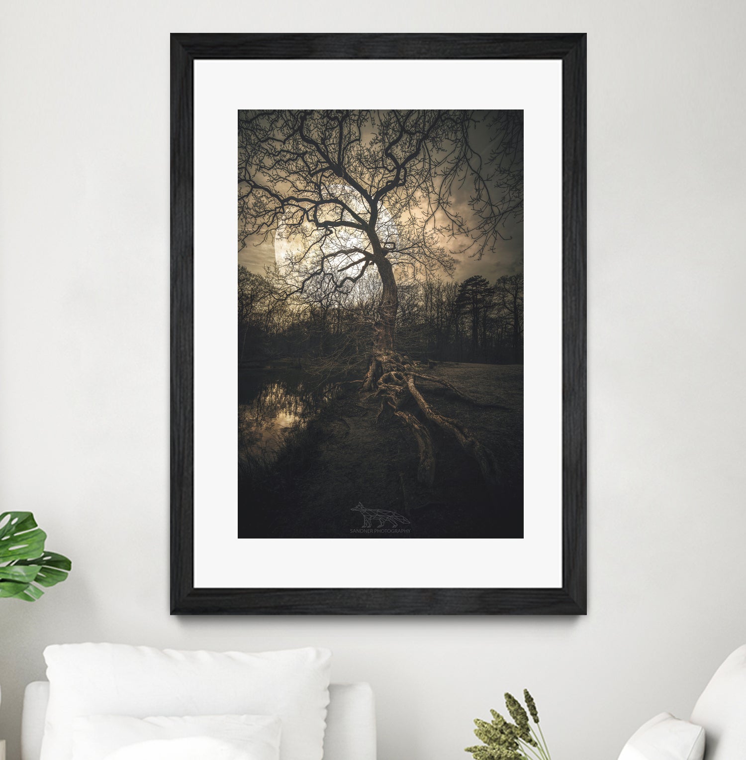 Loughtons Forest by Steven Sandner on GIANT ART - white digital drawing