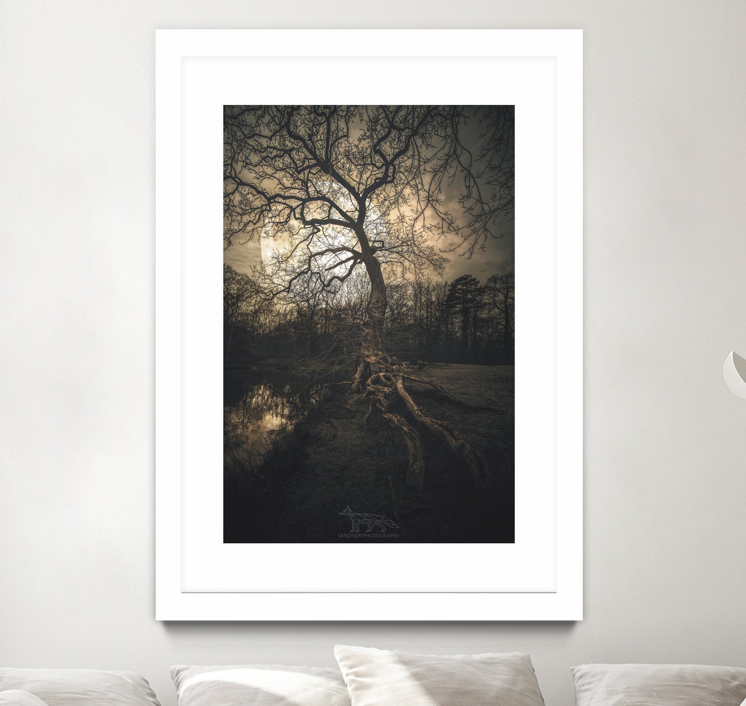 Loughtons Forest by Steven Sandner on GIANT ART - white digital drawing