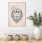 Cool lion by Solti Balázs on GIANT ART - brown digital painting