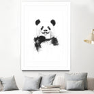 Funny panda by Solti Balázs on GIANT ART - white digital drawing