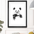 Funny panda by Solti Balázs on GIANT ART - white digital drawing