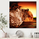 Leopard and Red Moon by Erika Kaisersot on GIANT ART - orange photo illustration