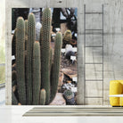 Micranthocereus Cactus by Anastasia Sawall on GIANT ART - green photo illustration