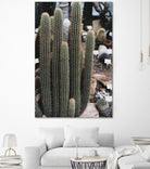 Micranthocereus Cactus by Anastasia Sawall on GIANT ART - green photo illustration