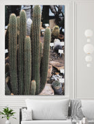 Micranthocereus Cactus by Anastasia Sawall on GIANT ART - green photo illustration