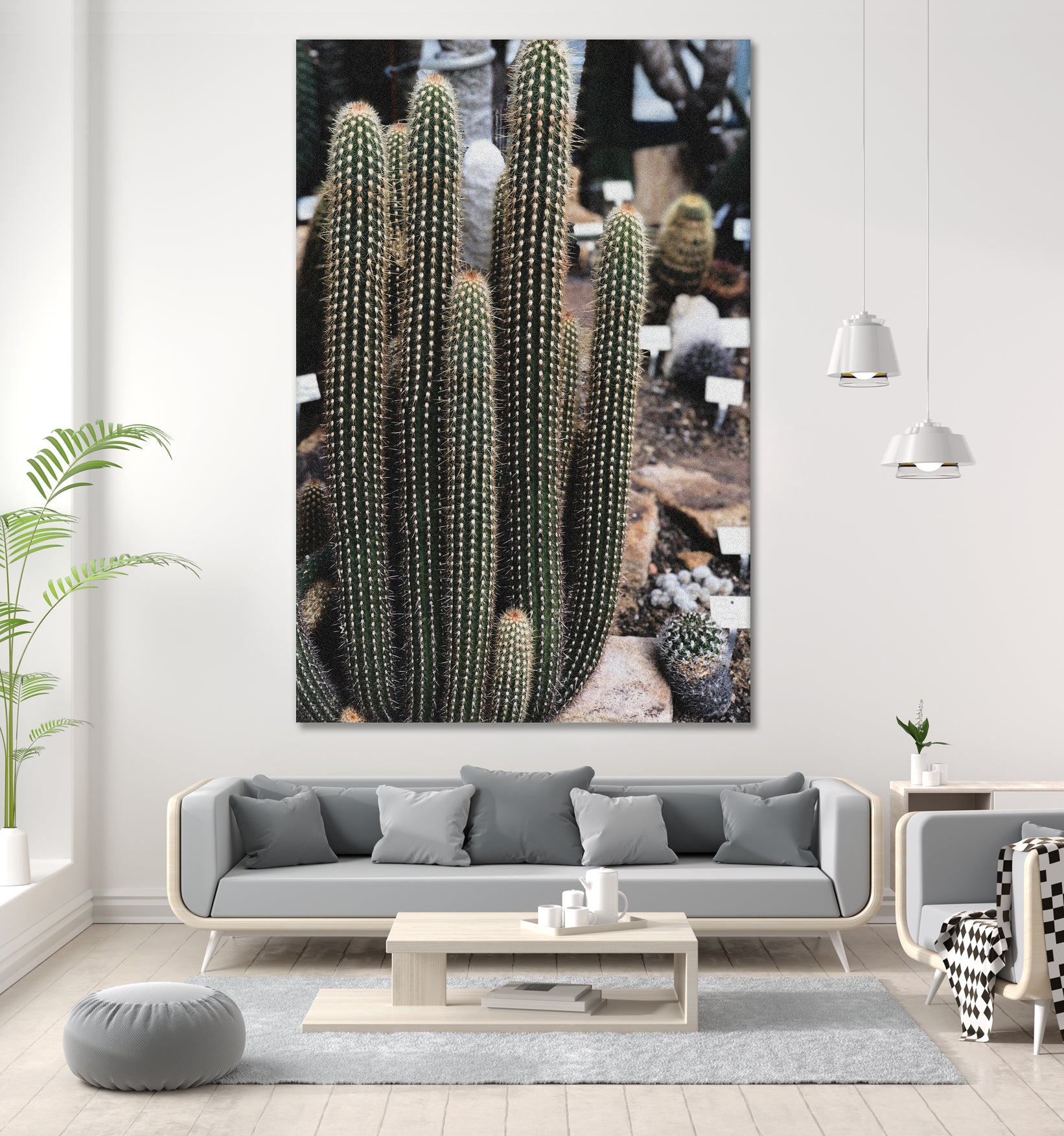 Micranthocereus Cactus by Anastasia Sawall on GIANT ART - green photo illustration