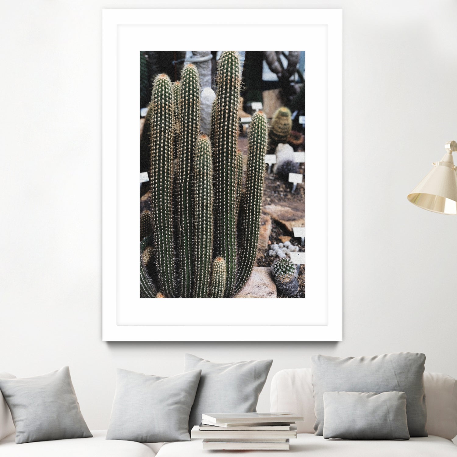 Micranthocereus Cactus by Anastasia Sawall on GIANT ART - green photo illustration