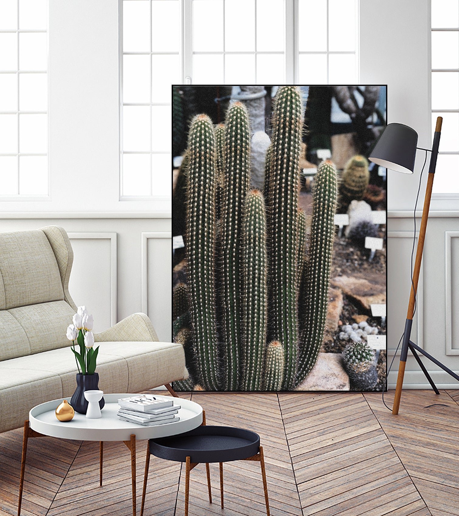 Micranthocereus Cactus by Anastasia Sawall on GIANT ART - green photo illustration