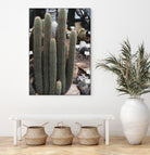 Micranthocereus Cactus by Anastasia Sawall on GIANT ART - green photo illustration