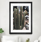 Micranthocereus Cactus by Anastasia Sawall on GIANT ART - green photo illustration