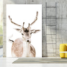 Deer I by Victoria Frost on GIANT ART - white photo manipulation