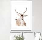 Deer I by Victoria Frost on GIANT ART - white photo manipulation