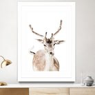 Deer I by Victoria Frost on GIANT ART - white photo manipulation