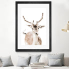 Deer I by Victoria Frost on GIANT ART - white photo manipulation