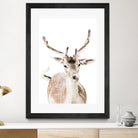 Deer I by Victoria Frost on GIANT ART - white photo manipulation