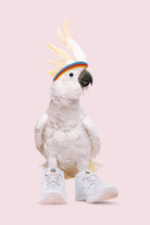 SNEAKER COCKATOO by Jonas Loose on GIANT ART - pink photo manipulation