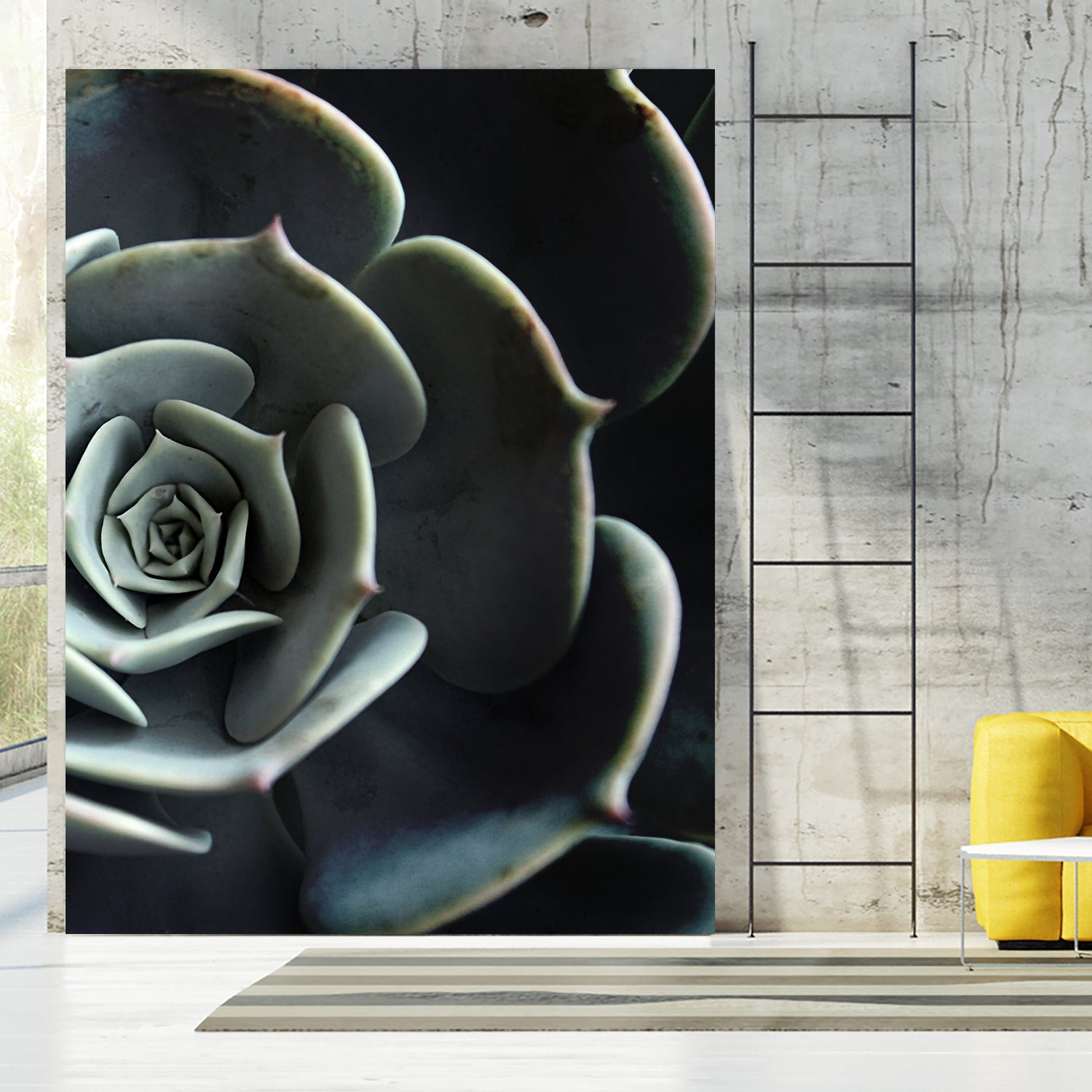 DARKSIDE OF SUCCULENTS XVI-B by Pia Schneider on GIANT ART - black photo manipulation