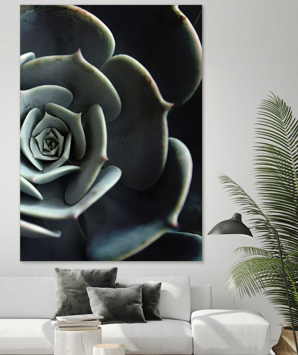 DARKSIDE OF SUCCULENTS XVI-B by Pia Schneider on GIANT ART - black photo manipulation