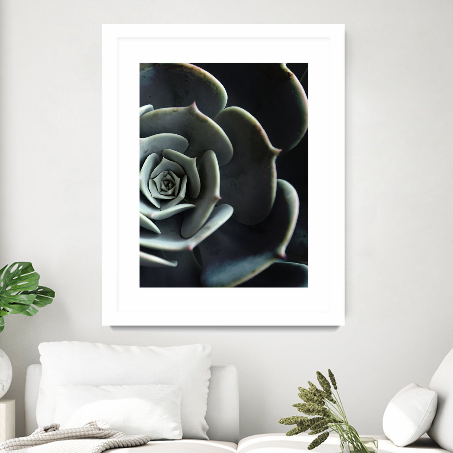 DARKSIDE OF SUCCULENTS XVI-B by Pia Schneider on GIANT ART - black photo manipulation