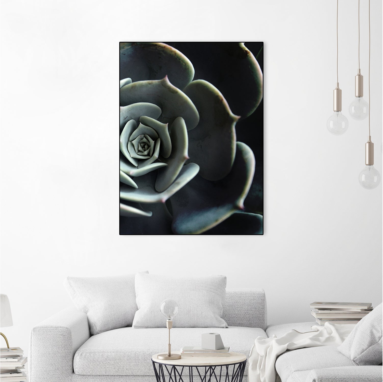 DARKSIDE OF SUCCULENTS XVI-B by Pia Schneider on GIANT ART - black photo manipulation