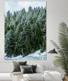 Pine Tree Forest Blue and Green Dense Forest by RJ Byrd on GIANT ART - green photo illustration