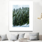 Pine Tree Forest Blue and Green Dense Forest by RJ Byrd on GIANT ART - green photo illustration