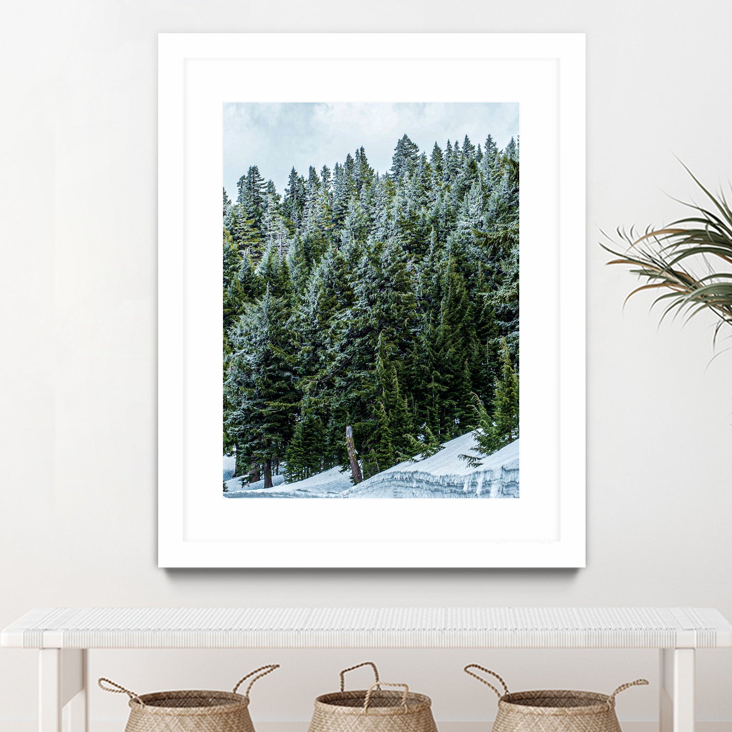 Pine Tree Forest Blue and Green Dense Forest by RJ Byrd on GIANT ART - green photo illustration