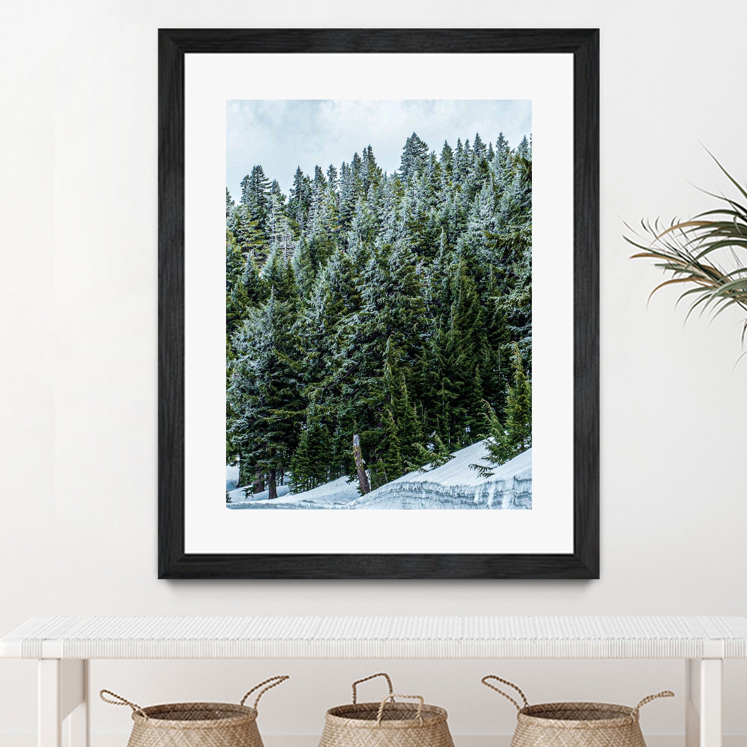 Pine Tree Forest Blue and Green Dense Forest by RJ Byrd on GIANT ART - green photo illustration