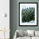 Pine Tree Forest Blue and Green Dense Forest by RJ Byrd on GIANT ART - green photo illustration