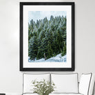 Pine Tree Forest Blue and Green Dense Forest by RJ Byrd on GIANT ART - green photo illustration