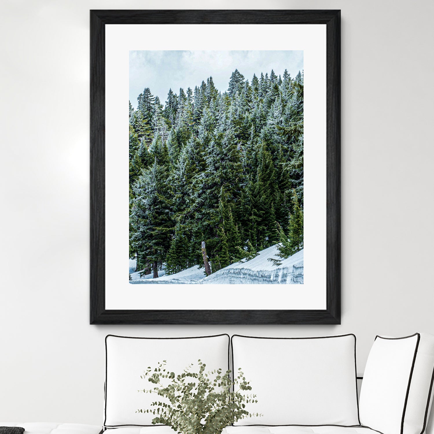 Pine Tree Forest Blue and Green Dense Forest by RJ Byrd on GIANT ART - green photo illustration