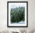 Pine Tree Forest Blue and Green Dense Forest by RJ Byrd on GIANT ART - green photo illustration