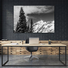 Trees Taller than the Highest Peak by Alex Tonetti on GIANT ART - gray photo illustration