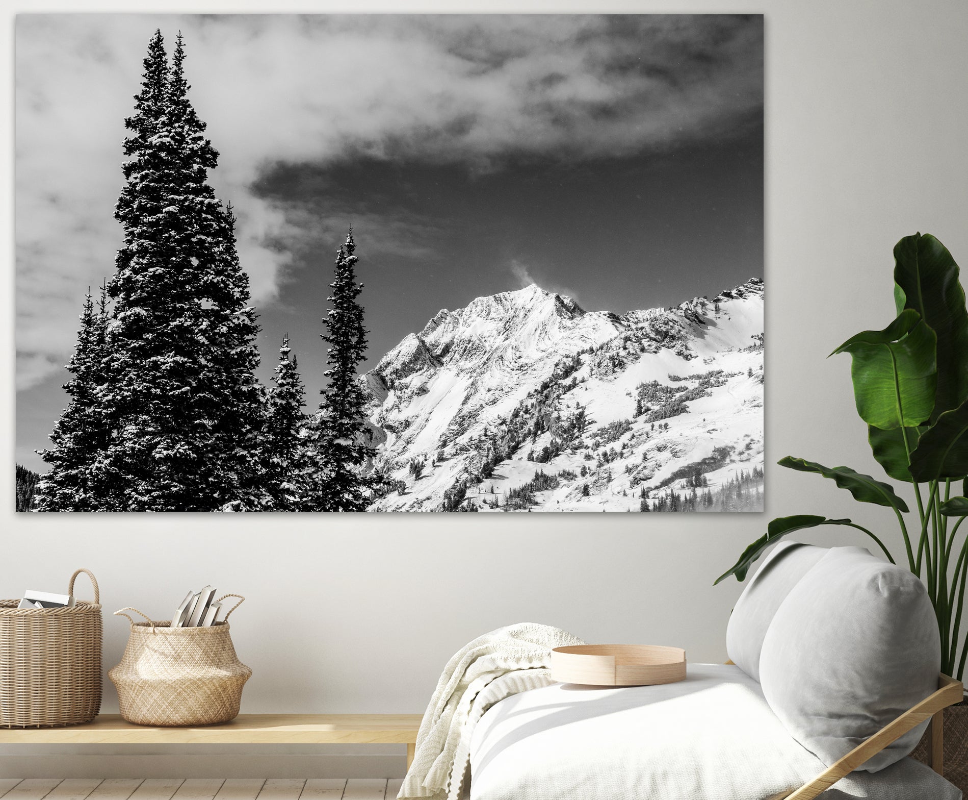 Trees Taller than the Highest Peak by Alex Tonetti on GIANT ART - gray photo illustration