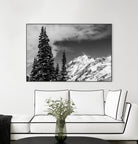 Trees Taller than the Highest Peak by Alex Tonetti on GIANT ART - gray photo illustration