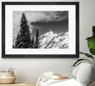 Trees Taller than the Highest Peak by Alex Tonetti on GIANT ART - gray photo illustration