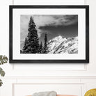 Trees Taller than the Highest Peak by Alex Tonetti on GIANT ART - gray photo illustration